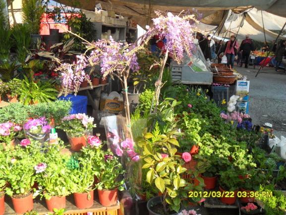 Name:  047.jpg
Views: 2324
Size:  73.5 KB