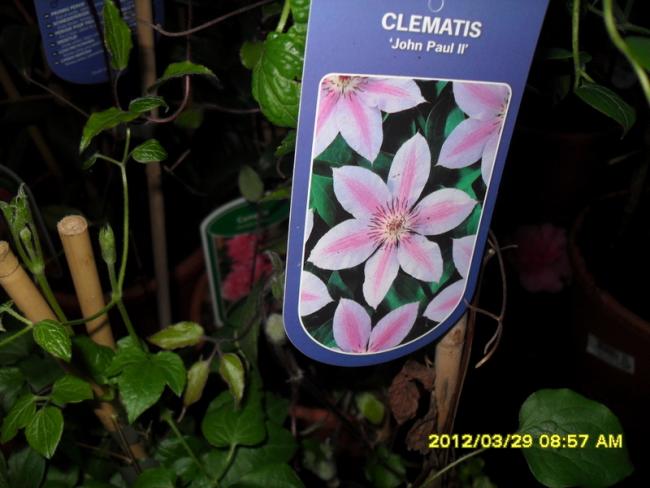 Name:  009.jpg
Views: 1840
Size:  42.0 KB
