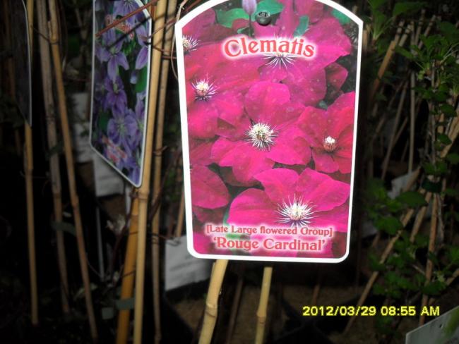 Name:  004.jpg
Views: 1820
Size:  46.7 KB