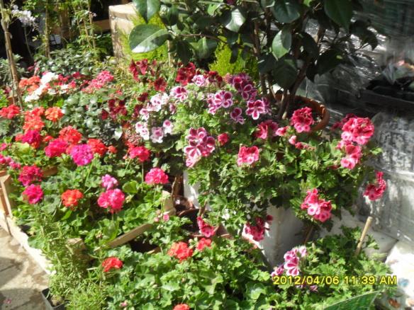 Name:  007.jpg
Views: 1466
Size:  73.5 KB