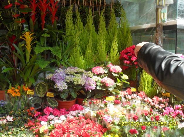Name:  016.jpg
Views: 1277
Size:  71.3 KB