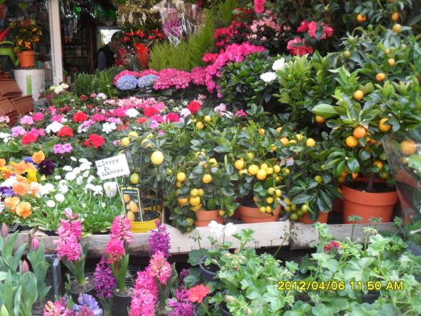 Name:  018.jpg
Views: 1253
Size:  72.6 KB