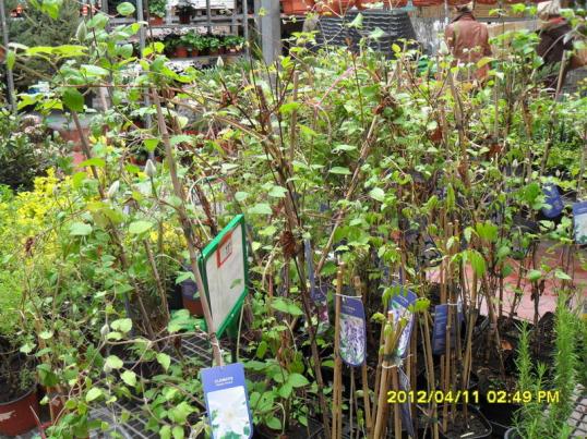 Name:  012.jpg
Views: 2546
Size:  74.3 KB