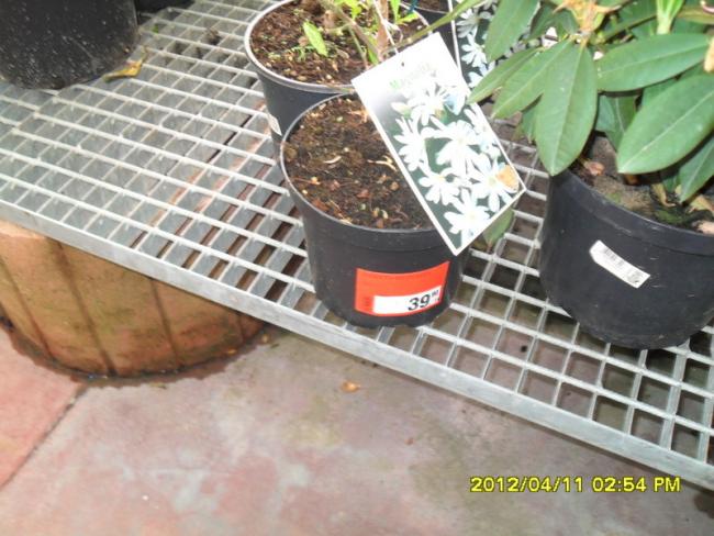 Name:  022.jpg
Views: 2054
Size:  55.4 KB