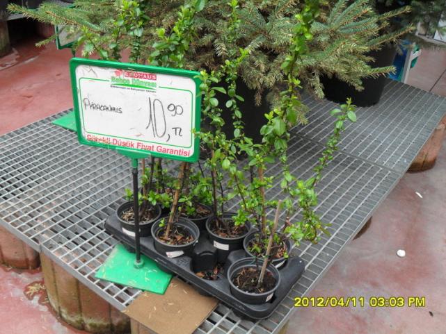 Name:  023.jpg
Views: 2232
Size:  70.9 KB