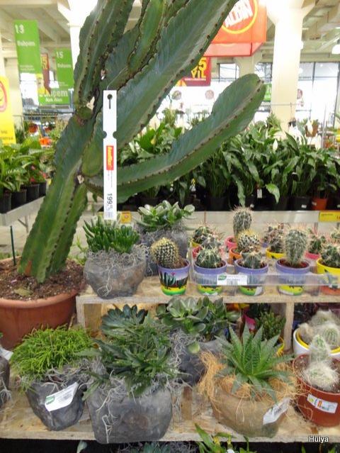 Name:  1-DSC00033.jpg
Views: 2142
Size:  67.6 KB