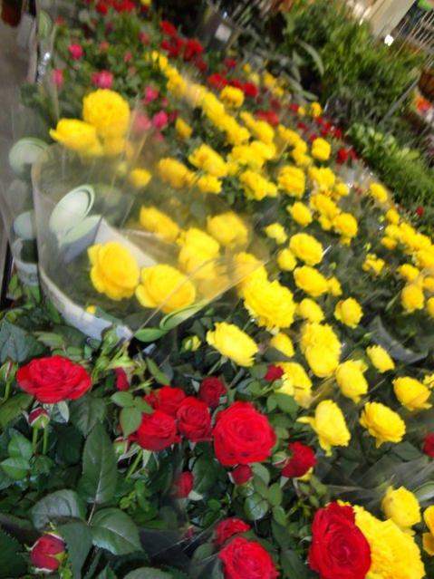 Name:  1-DSC00034.jpg
Views: 1937
Size:  56.8 KB