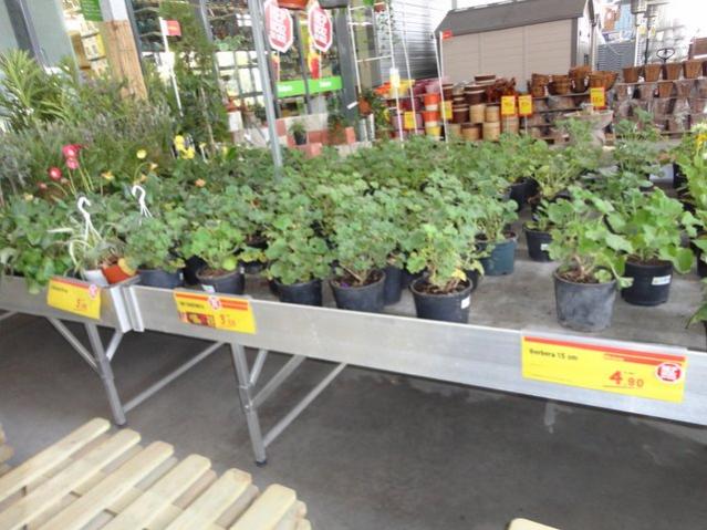 Name:  1-DSC00050.jpg
Views: 1860
Size:  55.9 KB