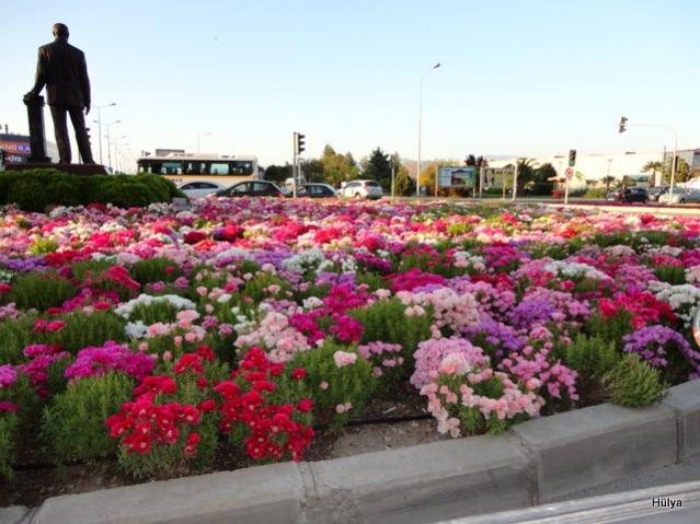 Name:  1-DSC00022.jpg
Views: 1988
Size:  54.1 KB