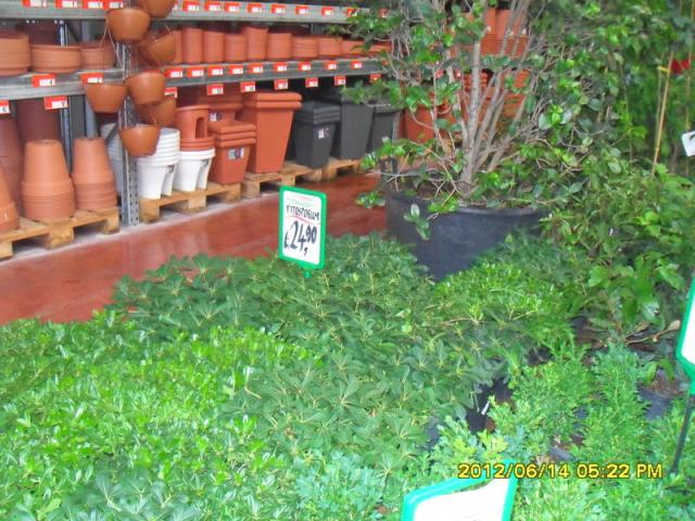 Name:  012.jpg
Views: 856
Size:  69.7 KB