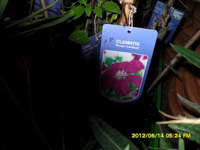 Name:  016.jpg
Views: 785
Size:  30.9 KB
