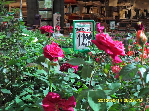Name:  017.jpg
Views: 815
Size:  72.7 KB