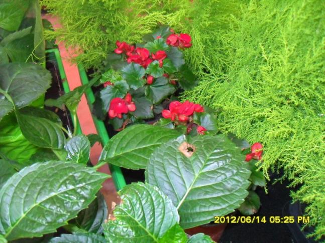 Name:  019.jpg
Views: 801
Size:  70.0 KB
