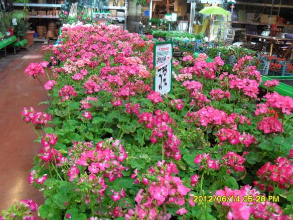 Name:  022.jpg
Views: 789
Size:  72.7 KB