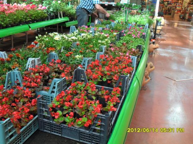 Name:  024.jpg
Views: 818
Size:  71.4 KB