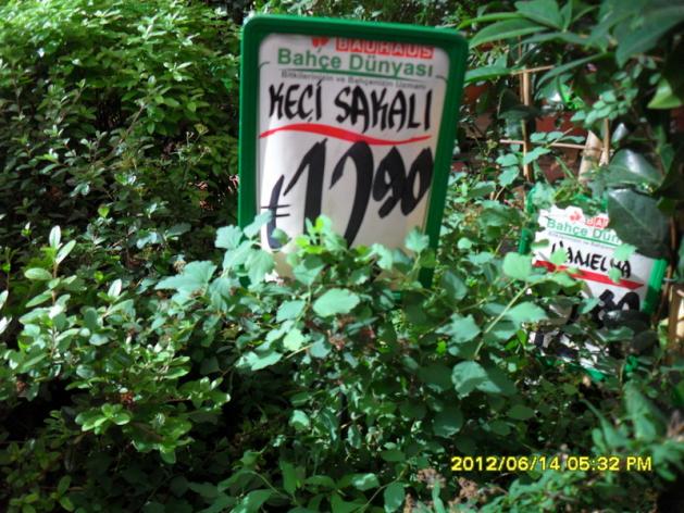 Name:  032.jpg
Views: 787
Size:  71.3 KB