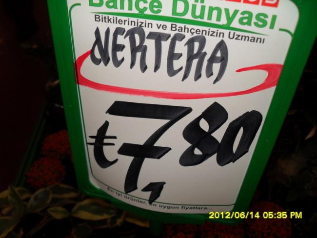 Name:  036.jpg
Views: 1138
Size:  37.6 KB