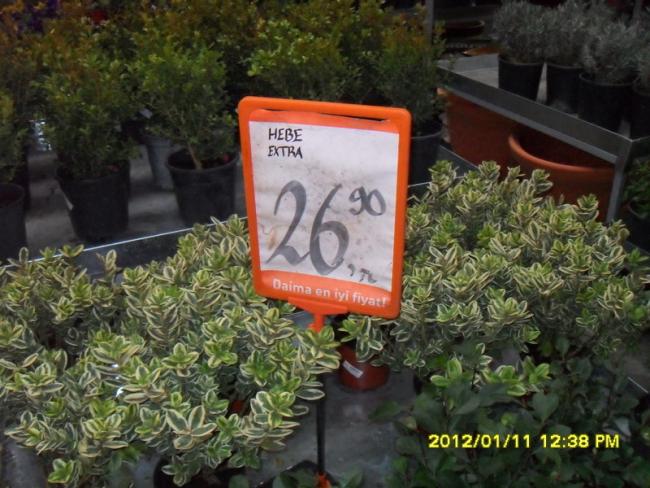 Name:  001.jpg
Views: 949
Size:  59.1 KB