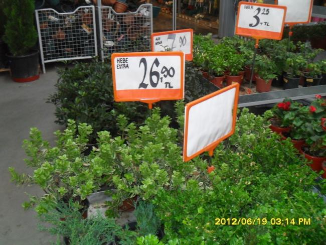 Name:  011.jpg
Views: 937
Size:  65.0 KB