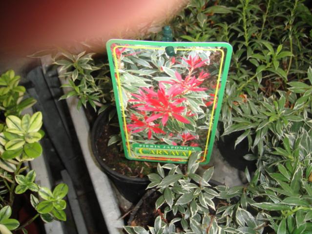 Name:  012.jpg
Views: 2746
Size:  61.1 KB