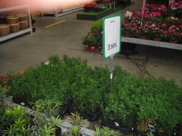 Name:  014.jpg
Views: 2667
Size:  49.1 KB