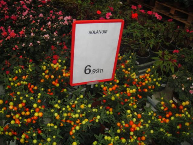 Name:  017.jpg
Views: 2626
Size:  56.4 KB