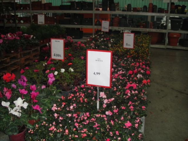 Name:  021.jpg
Views: 2589
Size:  48.6 KB