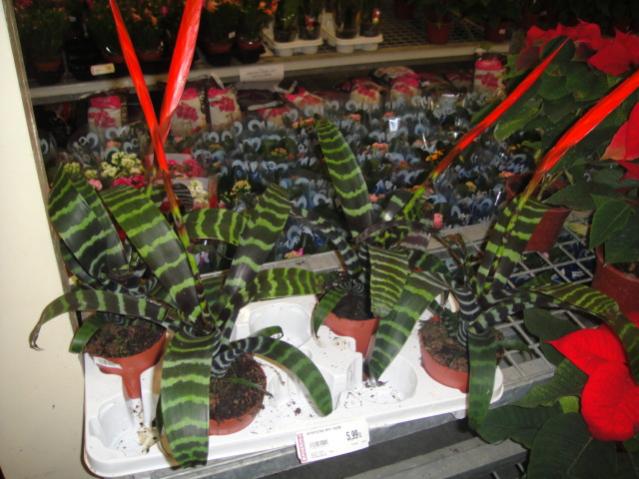 Name:  026.jpg
Views: 2610
Size:  52.5 KB