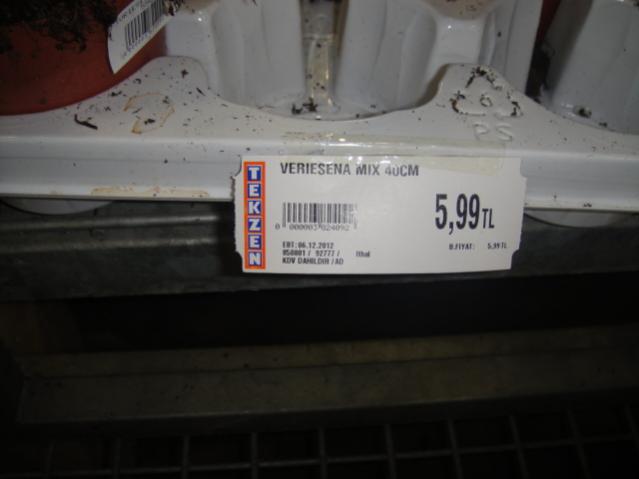 Name:  027.jpg
Views: 2580
Size:  22.7 KB