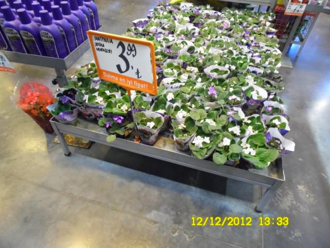 Name:  033.jpg
Views: 2663
Size:  59.6 KB