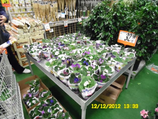 Name:  032.jpg
Views: 3557
Size:  71.4 KB