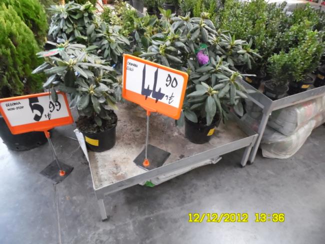 Name:  036.jpg
Views: 2490
Size:  57.6 KB
