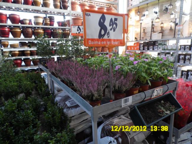 Name:  043.jpg
Views: 2519
Size:  68.1 KB