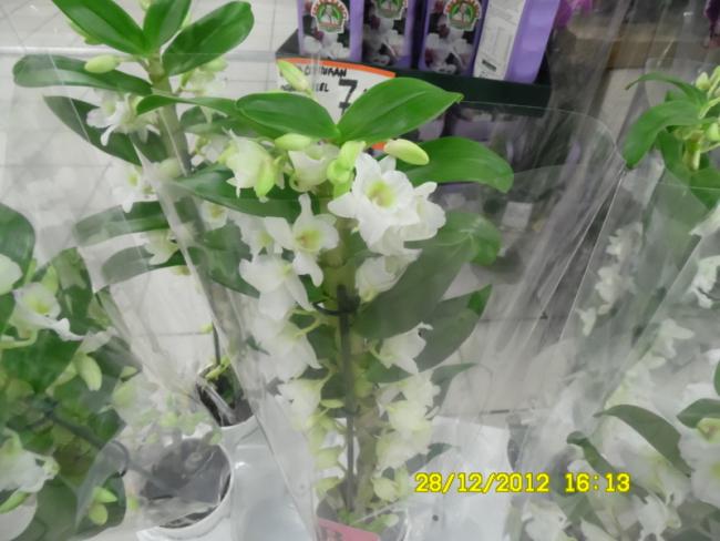 Name:  16-057.jpg
Views: 2259
Size:  44.1 KB