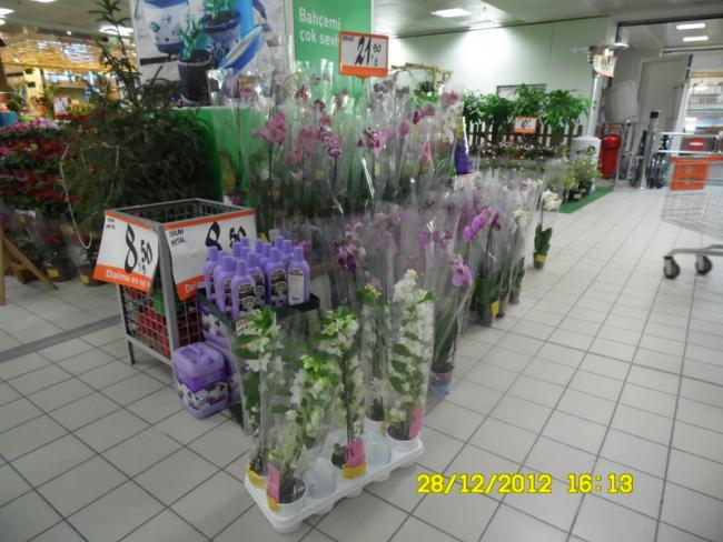 Name:  18-059.jpg
Views: 8397
Size:  52.7 KB