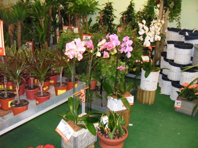 Name:  07-007.jpg
Views: 2348
Size:  65.3 KB