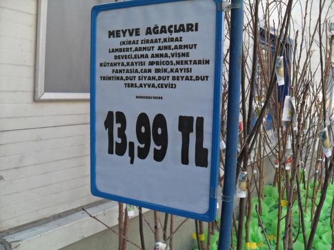 Name:  01-031.jpg
Views: 2374
Size:  55.7 KB