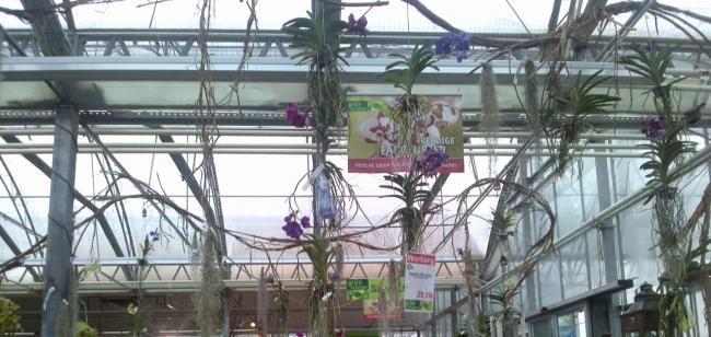 Name:  aviary_1358715562758.jpg
Views: 1154
Size:  49.7 KB