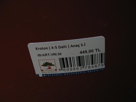 Name:  IMG_9205.JPG
Views: 1232
Size:  15.7 KB