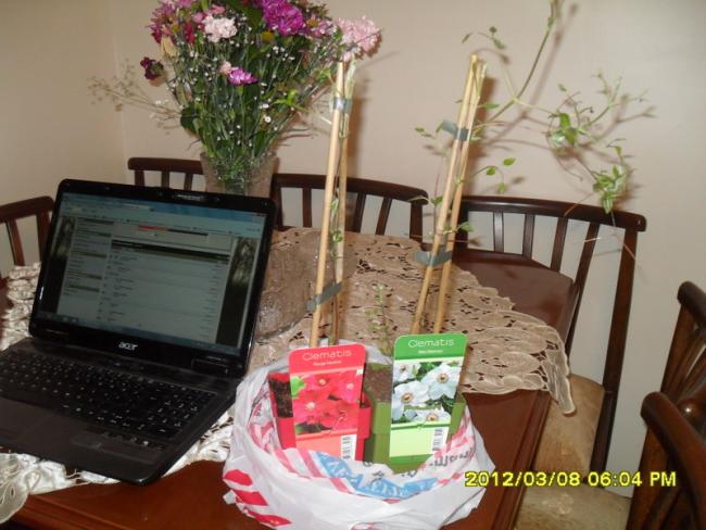 Name:  022.jpg
Views: 1172
Size:  49.3 KB
