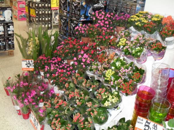 Name:  106-113.jpg
Views: 1119
Size:  72.6 KB