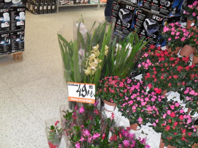 Name:  107-114.jpg
Views: 1451
Size:  70.3 KB