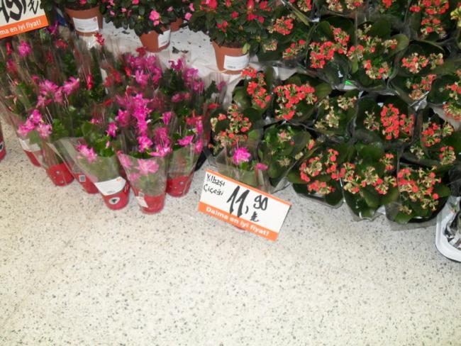 Name:  108-115.jpg
Views: 1093
Size:  65.9 KB