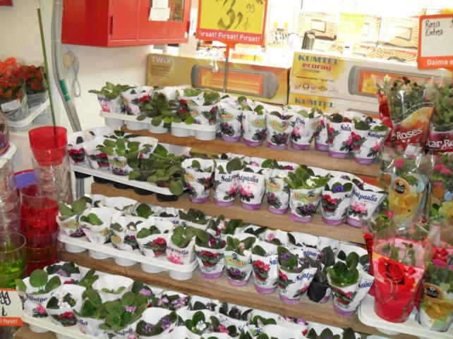 Name:  109-116.jpg
Views: 1069
Size:  71.1 KB