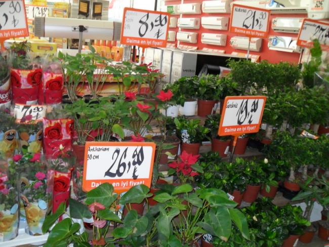 Name:  110-117.jpg
Views: 1090
Size:  69.6 KB