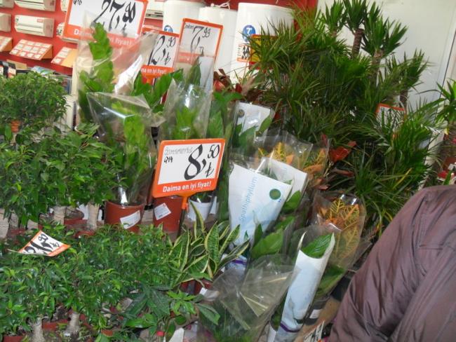 Name:  111-118.jpg
Views: 1065
Size:  69.5 KB