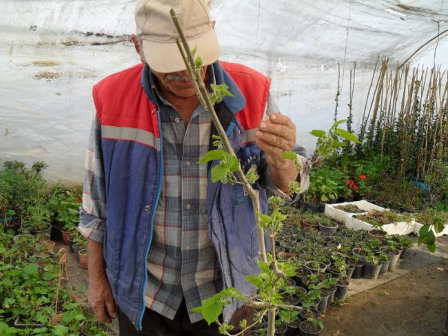 Name:  159-175.jpg
Views: 1075
Size:  60.8 KB