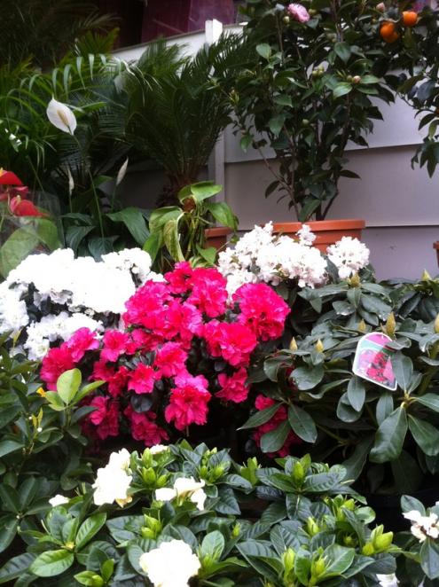 Name:  07-007.jpg
Views: 2915
Size:  70.8 KB