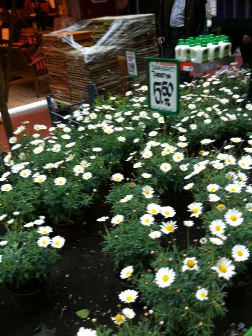 Name:  27-027.jpg
Views: 1677
Size:  70.3 KB