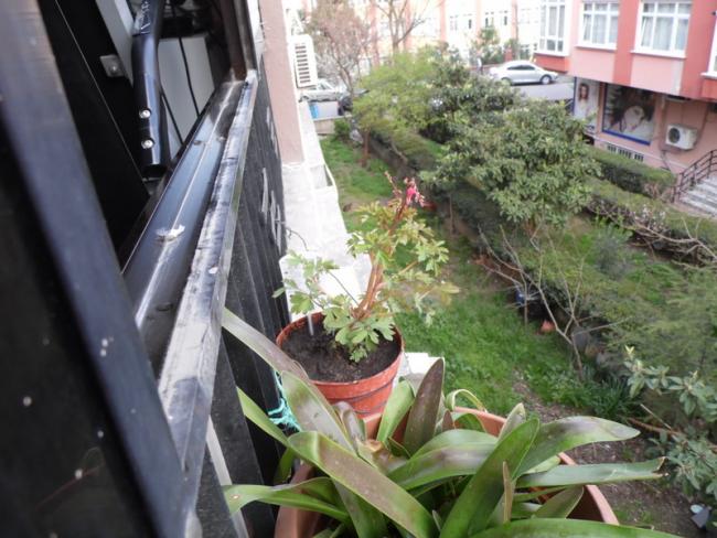 Name:  05-084.jpg
Views: 3537
Size:  56.5 KB